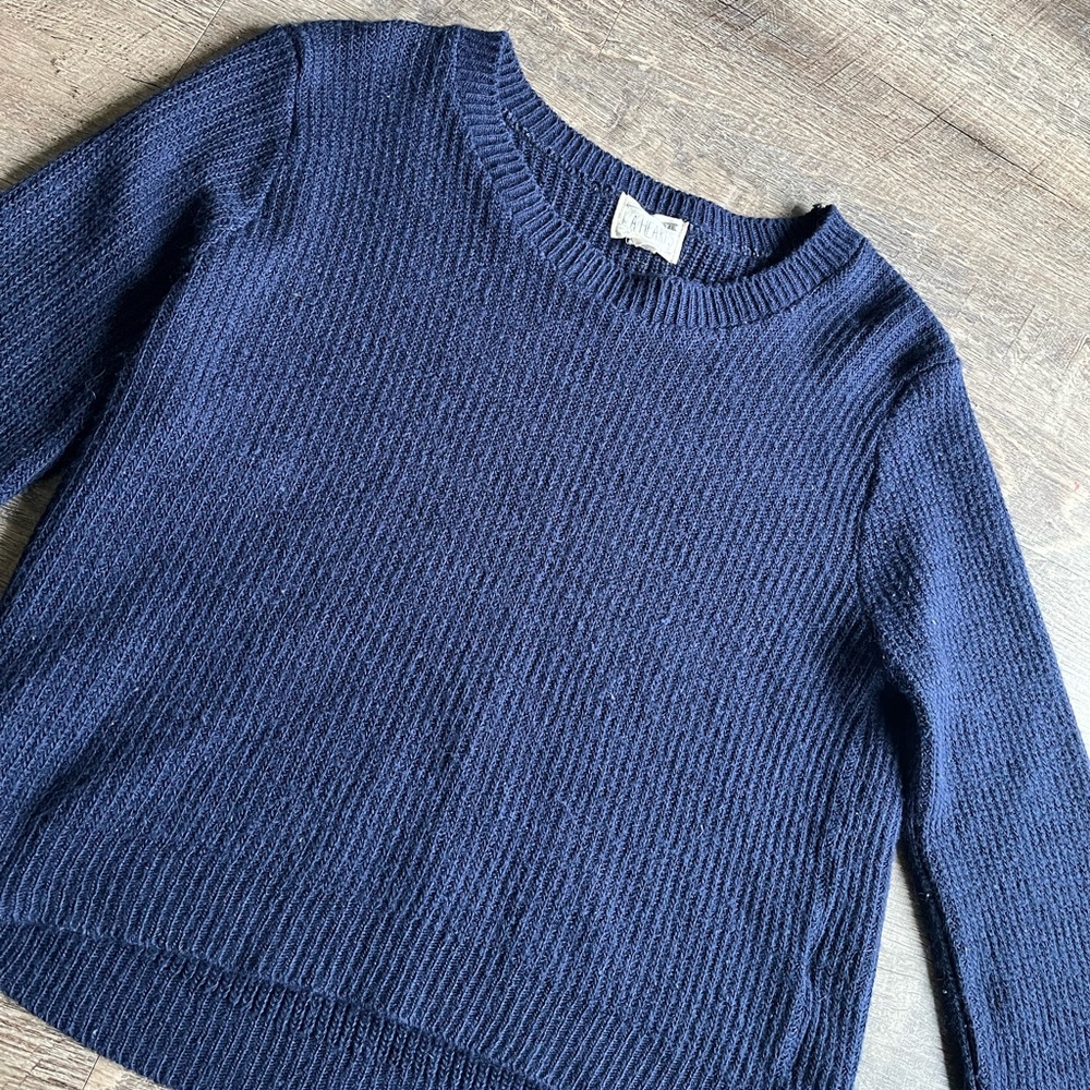 Pacsun Cropped Sweater